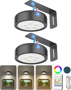 Picture Lights for Wall, 2000mAh Rechargeable Battery Magnetic Poster Lights with 3 Color Temps & 12 RGB, Remote Dimmable Timer Painting Light, Wall Decor Light for Art Display, Frame (2 Pack)