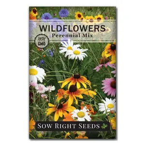 Perennial Wildflowers perennial flower non-gmo home