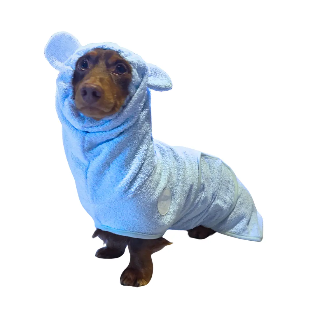 dachshund bathrobe