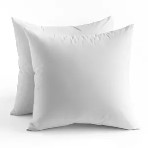 Bafode Feather Down Throw Pillow Insert, 2 Pack Euro Pillow for Decorative Bed Cushion Couch Sofa