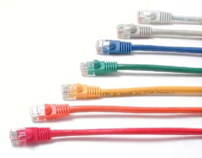 Startech Ltd 100 ft Snagless UTP Cat5e RJ45 Male Patch Cable (RJ45PATCH100) - ETL Verified, 350 MHz Bandwidth, Clip Protector, Colored Hoods, Bridge Function, Lifetime Durability, Workspace Networking Solution, RJ45 Male Cable Type