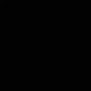 review image 4