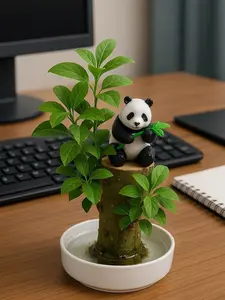 Brazilian Willow Wood Plant - Mini Brazil Lucky Wood Kit - Tray, Lucky Tree, Panda - Swelling Stage - About to Sprout, Brazilian Tree Housewarming