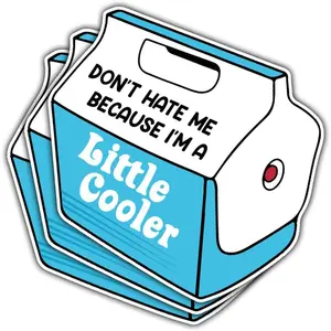 COMBO 3 PCS Dont Hate Me Because Im a Little Cooler Sticker, Funny Little Cooler Pun Stickers for Laptop Bottle Phone Car Helmet