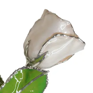 Silver Forever Rose - Pearl (June Birthstone)