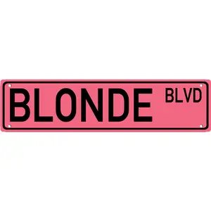 BLONDE BLVD Metal Street Tin Sign Funny Vintage Slim Aluminum Street Sign 16 x 4 Inch Wall Art Decor Iron Poster for Home Farmhouse Bar Cafe Indoor Outdoor Gift