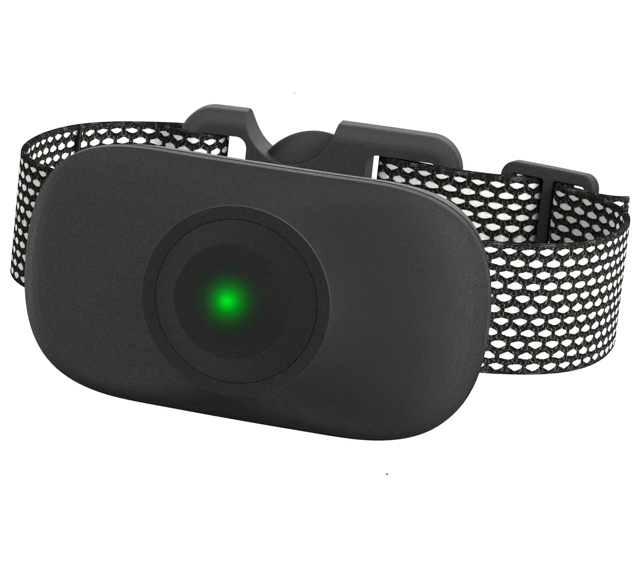 The Pet Life Ellipse LED 1-to-3 Dog 16-Level Dog Collar The Pet Life Ellipse LED 1-to-3 Dog 16-Level Dog Collar