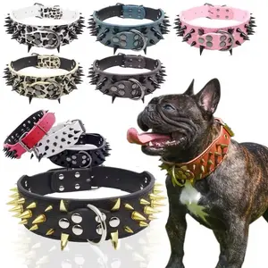 Spike Dog Collar - Durable and Stylish Design for Dogs