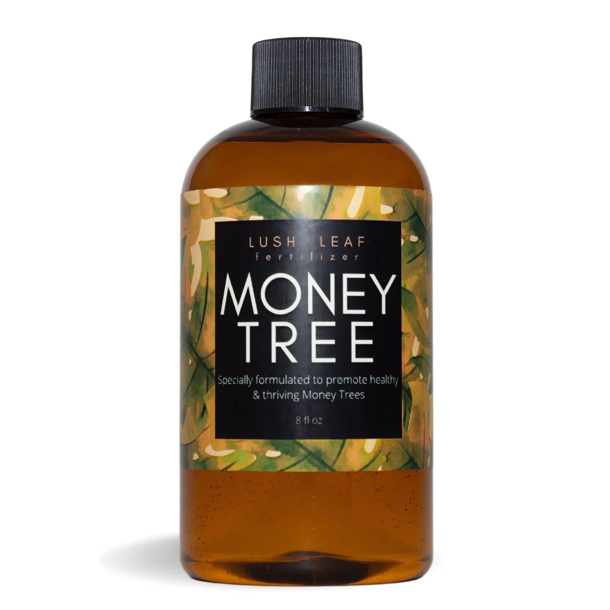 Lush Leaf Money Tree Plant Food Liquid Concentrate Fertilizer for all  varieties of Money Trees - TikTok Shop