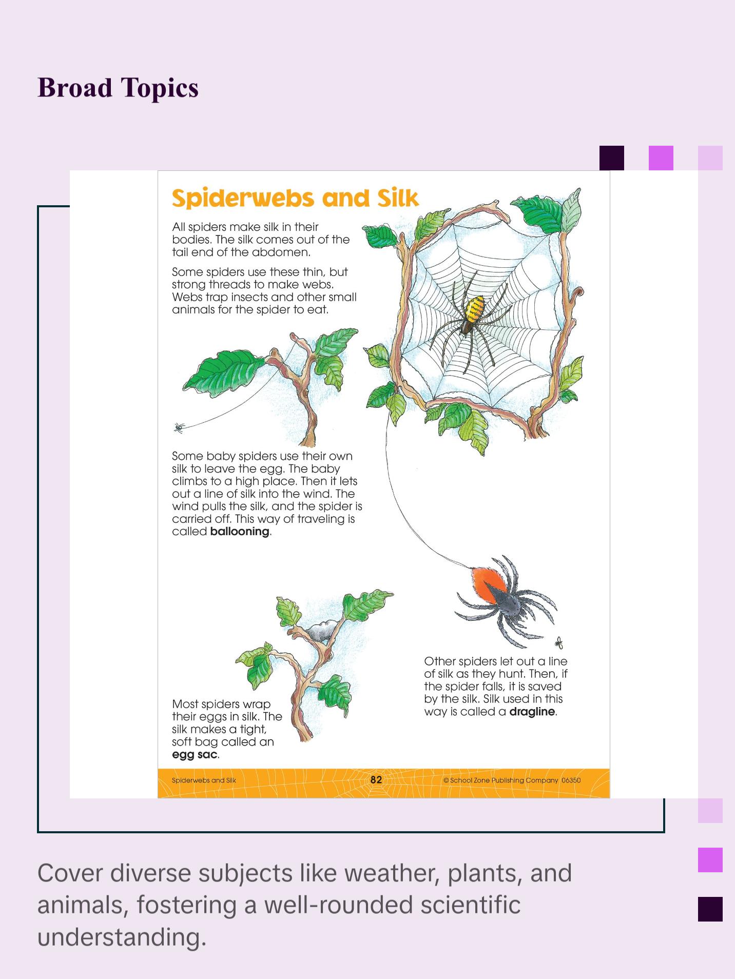 Big Science Grades 2-3 Workbook