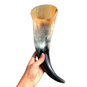 Polished Cow Horn - Handcrafted from 100% Real Cow Horn (Set of 2)