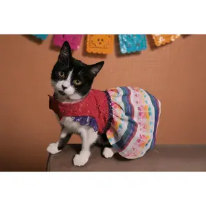 Vestido primavera