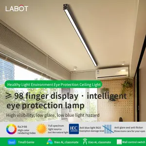 Minimalist Long Strip Ceiling Light for Living Room, Creative Corridor Hallway Sunroom Balcony Lamp, New 2026 Model