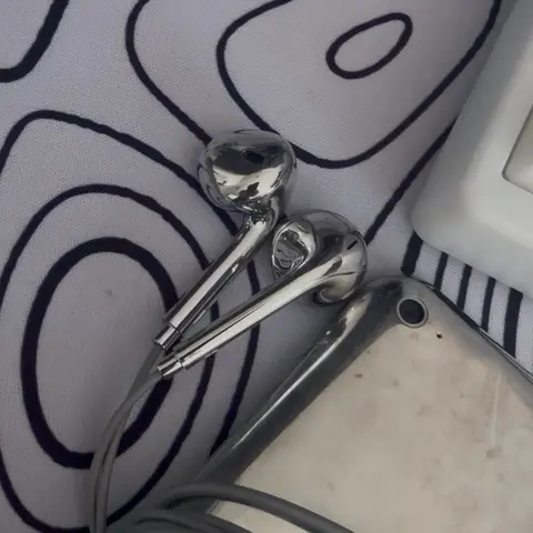 Silvera chrome wired earbuds