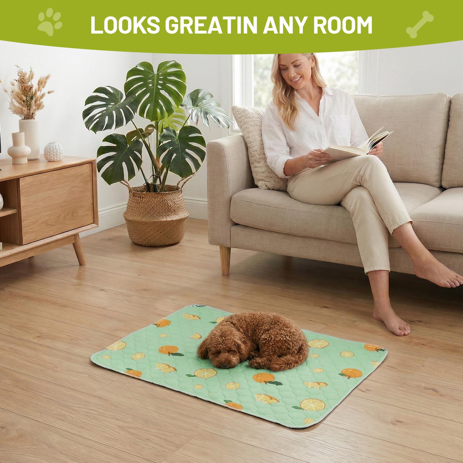 Washable Pee Pads for Dogs, 2-Pack Reusable Absorbent Training Pads for Puppies, Non-Slip Potty Pads, Playpen, Crate, Mattress, Multiple Sizes