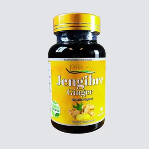 YMEE life Ginger Root (Jengibre) 90 Capsules of 500MG each