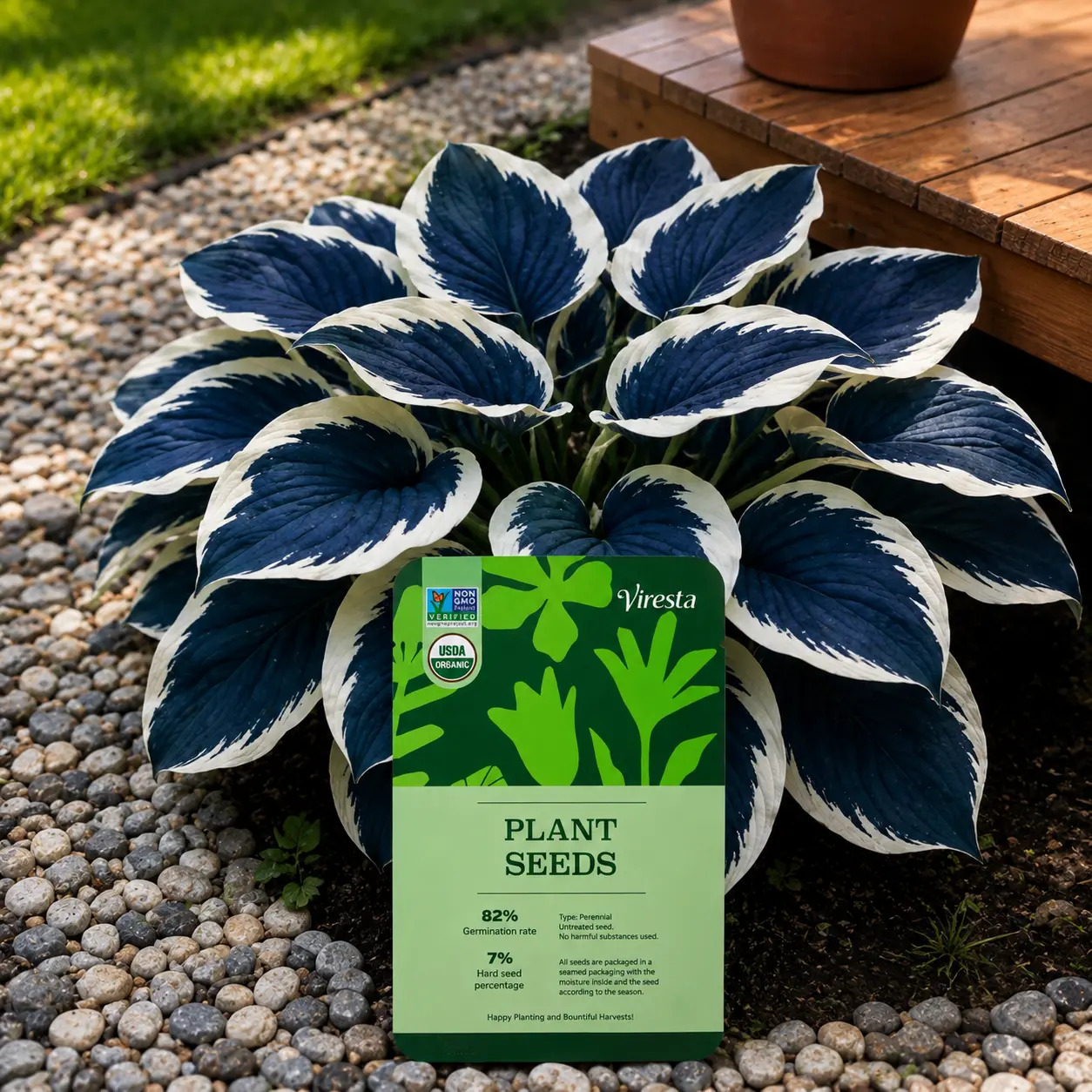 200pcs Blue Hosta Perennial Flower Seeds - Deep Foliage, Low-care Growth, Minimal Upkeep, Adds Texture, Bold Look, Easy to Grow, Shady Area Ideal, Vibrant Blooms (200+ Seeds Incl)