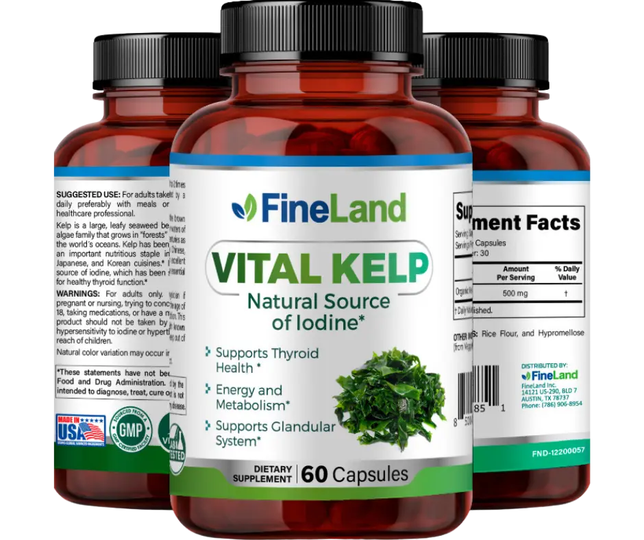 FineLand VITAL KELP Supports Thyroid Health, Energy and Metabolism, Supports Glandular System Healthcare Vitamin