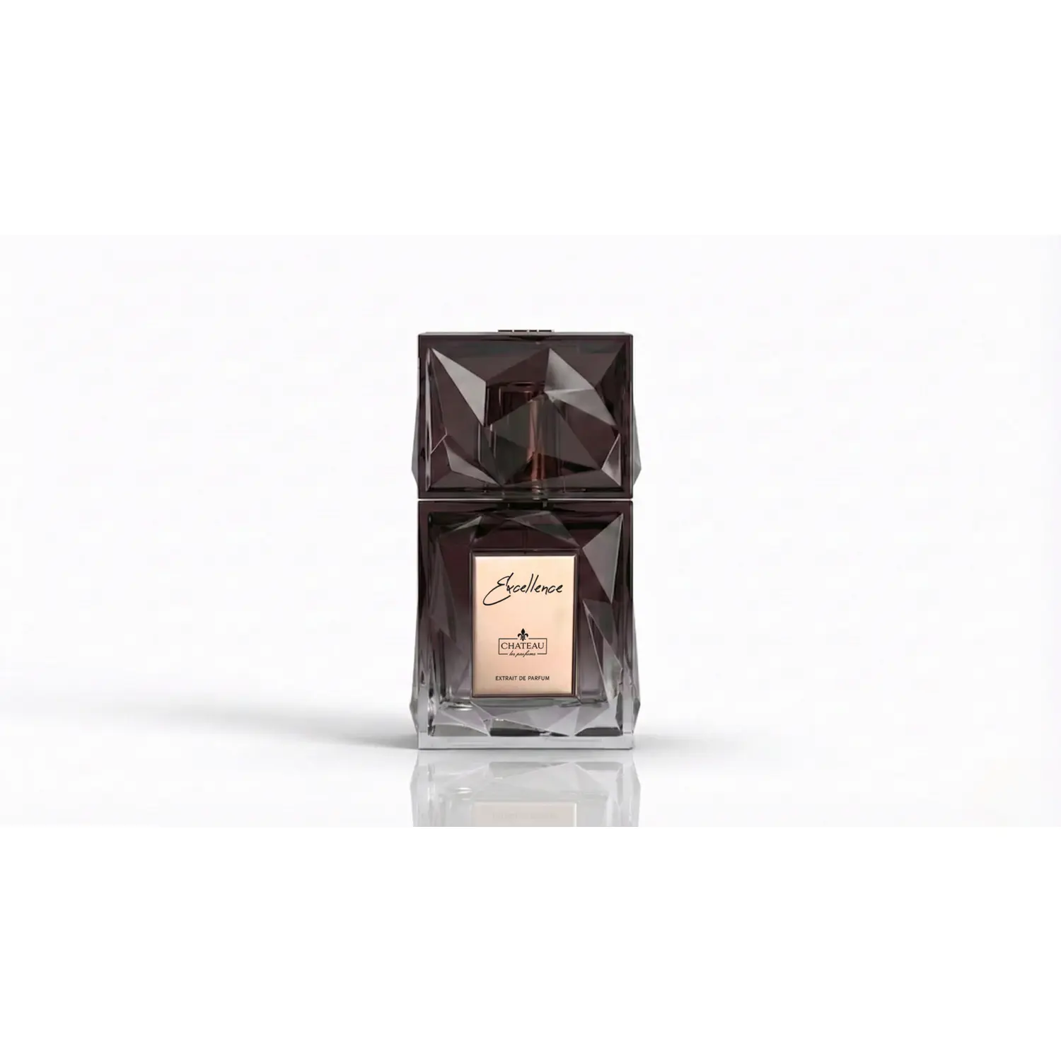Chateau Les Parfums Excellence 3.4oz / 100ml | Extrait de Parfum 25-30% Oil | Long Lasting Luxury Fragrance