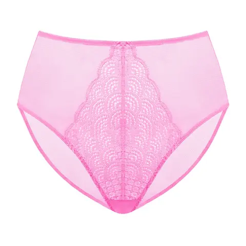 Live Only Mermaid Scales Soft Mesh Lace Sheer Back High-Rise High Waisted Brief Matching Panty