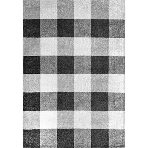 Aisha Buffalo Plaid Area Rug