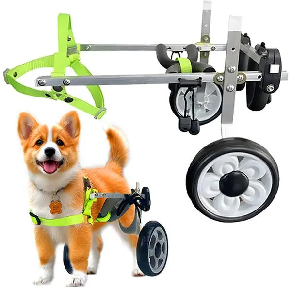 Stable & Adjustable Dog Wheelchair for Back Legs, Pet Wheelchairs with Disabled Hind Legs Walking ( S, XS and XXS )