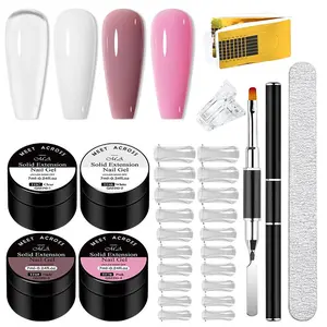 Professional Nail Extension Gel Set, 1 Set 4 Color Nail Builder Gel with Nail Art Tools, DIY Nail Art Kit for Women & Girls, Manicure Salon Set