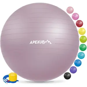 APEXUP Yoga Ball Exercise Ball, Pilates Ball, anti Slip Stability Ball, Heavy Duty Gym Ball for Fitness, Balance, Core Workout, Physical Therapy APEXUP