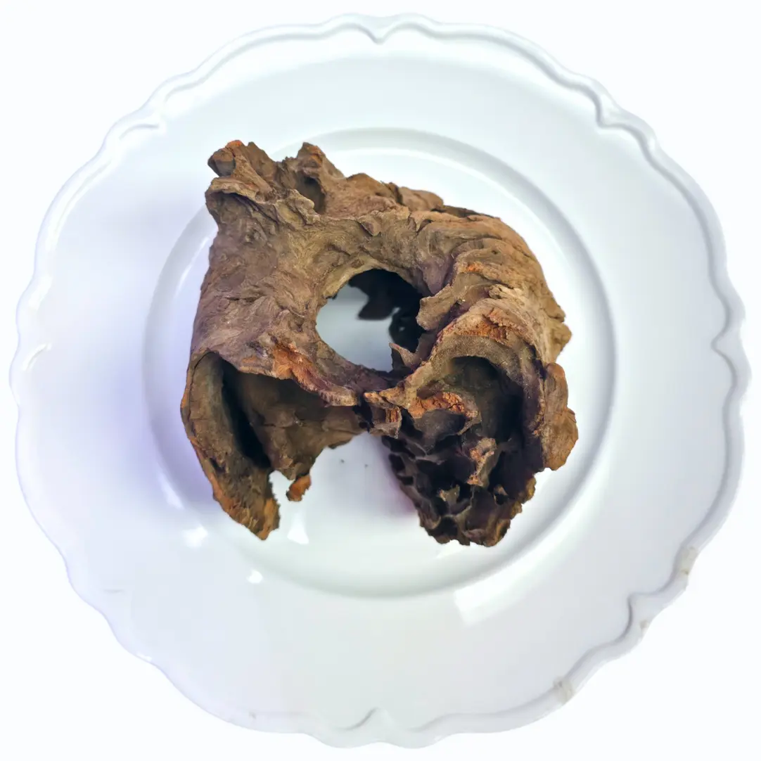 Tofu's Tanks Stumpwood Driftwood with awesome tunnels - Natural Decor for Aquascaping & Terrariums - Perfect for Breeding Fish or Reptile Hide - Enhances Any Aquatic or Terrestrial Space