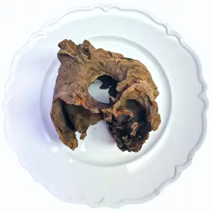 Tofu's Tanks Stumpwood Driftwood with awesome tunnels - Natural Decor for Aquascaping & Terrariums - Perfect for Breeding Fish or Reptile Hide - Enhances Any Aquatic or Terrestrial Space