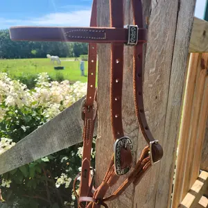 Western Browband Bridle Full Horse Adjustable Butter Soft Leather Made in USA with Decorative Concho