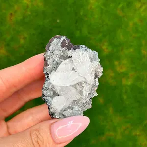 Hemimorphite on Matrix | Rare Location, Santa Eulalia, Mexico