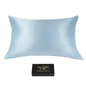 Queen-size 100% 6A 22 Momme Mulberry Silk Pillowcase, Zipper Closure, Sky Blue