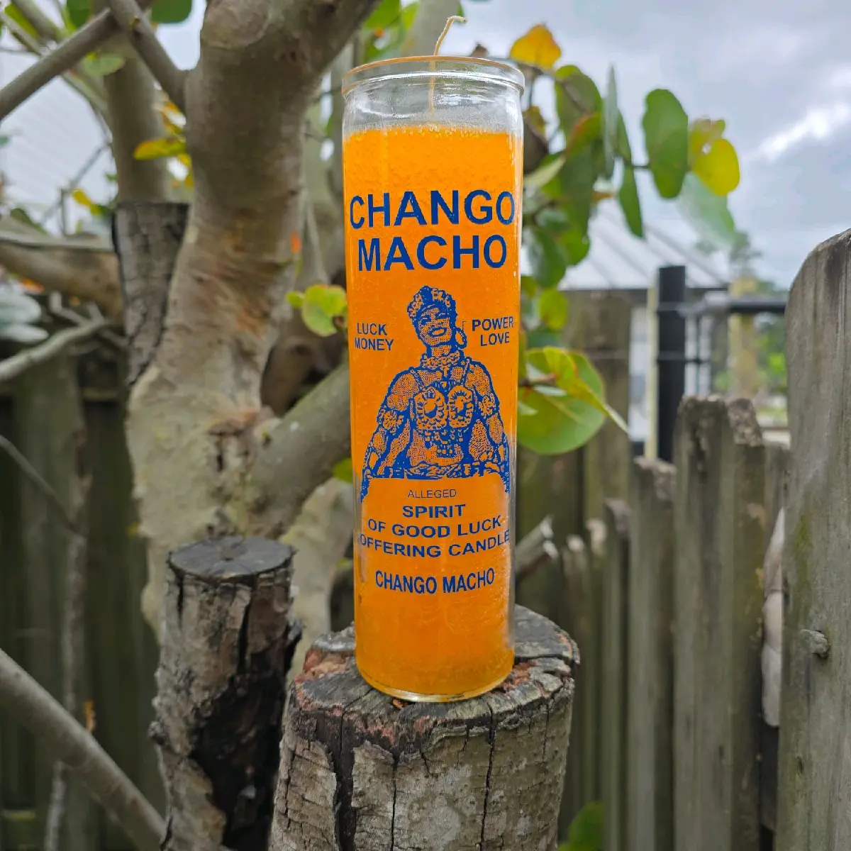 Chango Macho 7 Day Candle