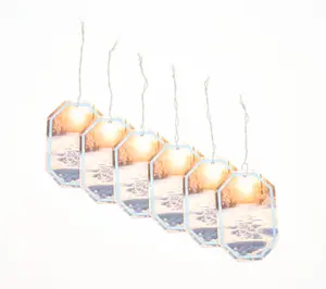 HomeWorx by Slatkin + Co. S/6 Hanging Auto Air Fresheners