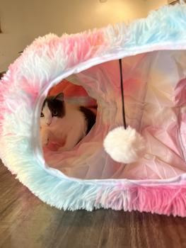 product review image from maddie 7