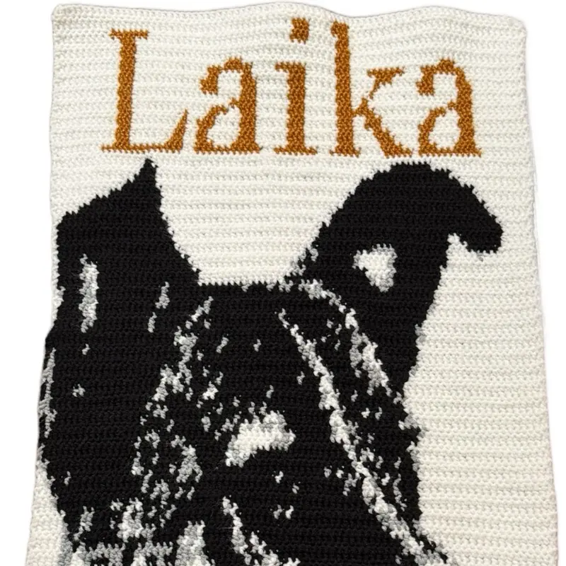 Laika portrait