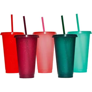 Tumbler with Straw and Lid,Water Bottle Iced Coffee Travel Mug Cup, Plastic Cups, for Parties,Birthdays,24oz-5 Pack (Rainbow, 5pack)