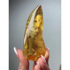 Polished Colombian Copal Amber with Insects #1A