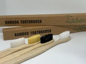 High Quality 10pcs  Adult Toothbrush Set with 100% Biodegradable Bamboo Handle, Eco-Friendly, Anti-Microbial, Plastic-Free Packaging Oral Comfort