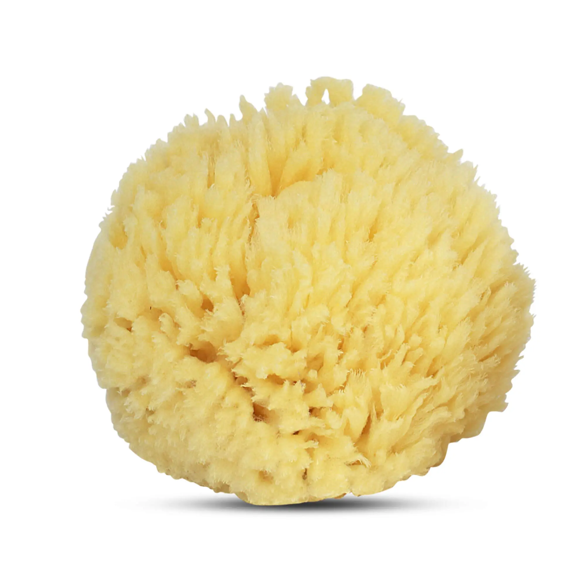 Baby Buddy Natural Baby Bath Sponge 4in Ultra Soft Sea Wool Sponge Soft on Tender Baby Skin, Biodegradable
