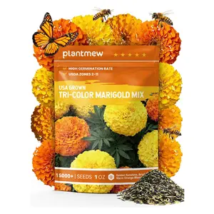 French Marigold Seeds - Heirloom Petite Tri-Color Mix - Vibrant Yellow/Orange Blooms - 15000+ Seeds for Outdoor Planting (Borders/Beds/Containers) - Quick Blooming, Companion Plant, Easy Grow