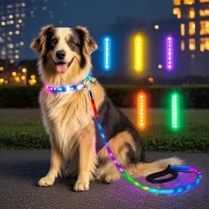 Xeuch LED Illuminated Dog Leash |   Extremely High Visibility for Distances Up to 350 Yards |   Three Lighting Options |   Rechargeable Via USB, No Batteries Required |   Comfortable Handle & Swivel Clasp to Avoid Leash Twisting