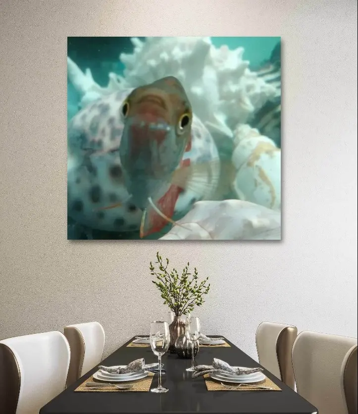 Original Photo Name 'Vanity Fish' 20x24 Print Poster Glossy White Paper