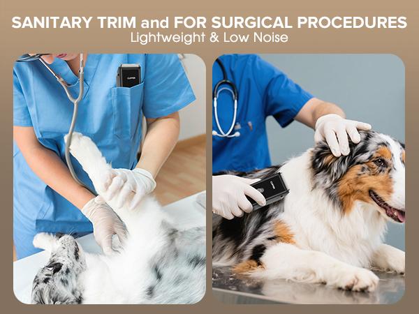 Pet Clippers for Dog Hair Grooming Low Noise, Portable Pet Hair Trimmer for Matted & Long Hair, Rechargeable Cordless Cat Shaver with Ceramic Blade