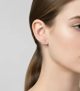 925 Sterling Silver Hanger Earrings