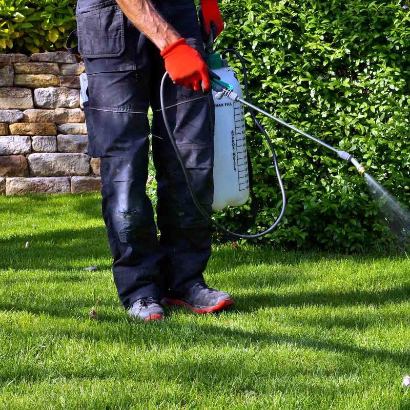 Black Forest Mulch Dye | 9,600 SQ FT - 1 Gallon