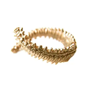 Spine Ring GIFT