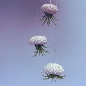 Jellyfish Hanging Airplant Display