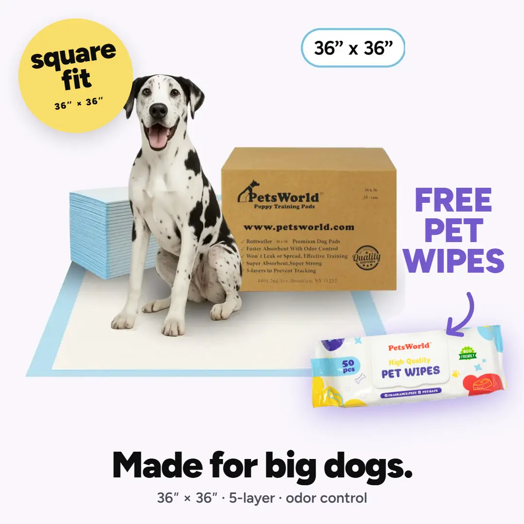 PetsWorld Gigantic Dog Training & Potty Pads, Ideal for Dog Training and More, 36x36-in